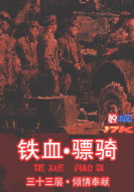 铁血骠骑封面