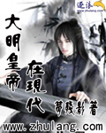 大明皇帝在现代封面