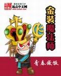 金装魔法师封面
