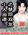 小人当道之梦回双龙封面
