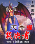 天命裁决者封面