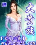 大贵族封面