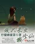 做只米虫懒修仙封面