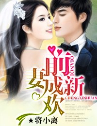 前妻成新欢封面