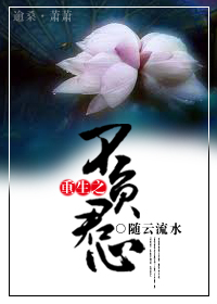重生之不负君心封面