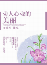 动人心魂的美丽封面