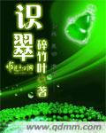 识翠封面