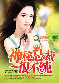 神秘总裁很不纯封面