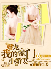 婚宠一一我的豪门小娇妻封面