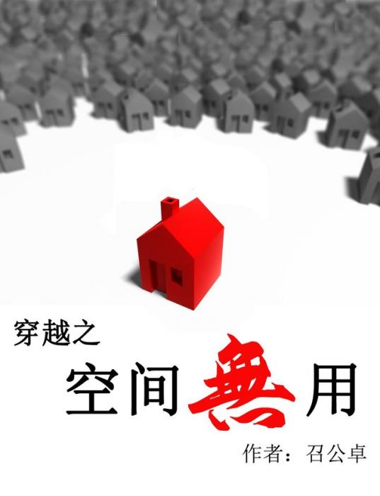 穿越之空间无用封面