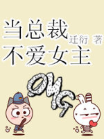 当总裁不爱女主封面