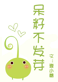 呆籽不发芽封面