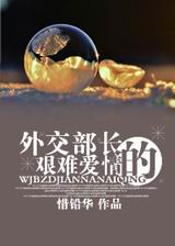 外交部长的艰难爱情封面