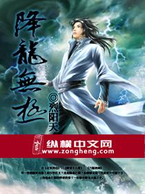 降龙无极封面