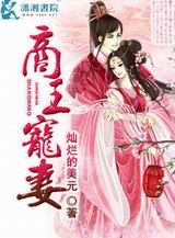 商王宠妻封面