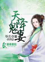 天降鬼妻封面