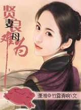 贤妻良母难为封面