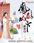 凤临城下封面