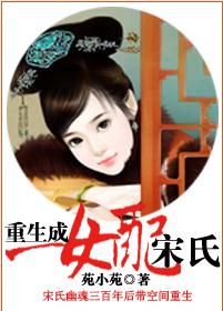 重生成女配宋氏封面