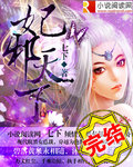 妃邪天下封面