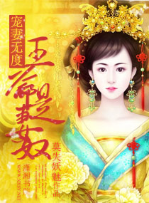 宠妻无度一王爷是妻奴封面