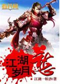 江湖岁月愁封面