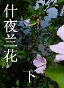 什夜兰花(下)封面