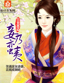 妾乃蛮夷封面
