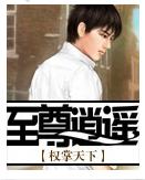 至尊逍遥封面