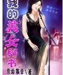 我的美女秘书封面