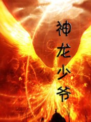 神龙少爷封面