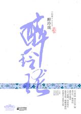 醉玲珑 十四夜封面
