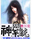 神网系统封面