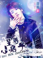 至尊小痞子封面