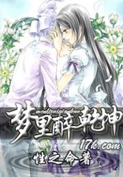 梦里醉乾坤封面