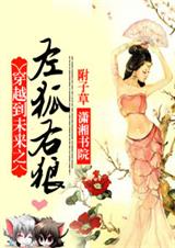 穿越到未来之左狐右狼封面