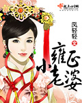 雍正小老婆 未完封面
