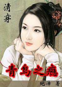 青鸟之瘾封面