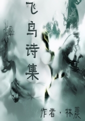 飞鸟诗集封面