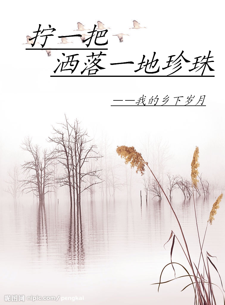 拧一把,洒落一地珍珠--我的乡下岁月封面