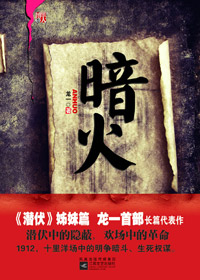 潜伏 姊妹篇:暗火封面