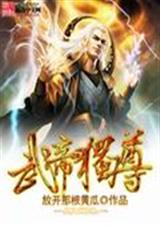 武帝独尊封面