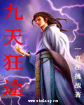九天狂途封面