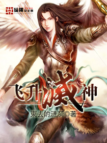 飞升灭神封面