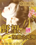 野望-涅磐之凤翔封面