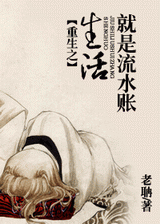 重生之生活就是流水账封面