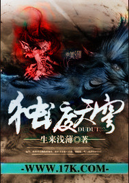 独渡天穹封面