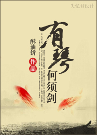 有琴何须剑封面
