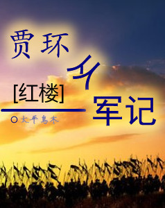 [红楼]贾环从军记封面
