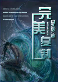完美复制封面